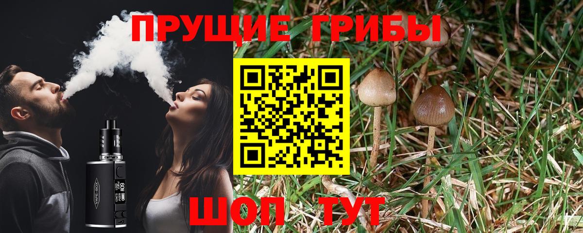 Клинцы  Галлюциногенные грибы MAGIC MUSHROOMS  Псилоцибиновые грибы мухоморы  Вход с VPN 