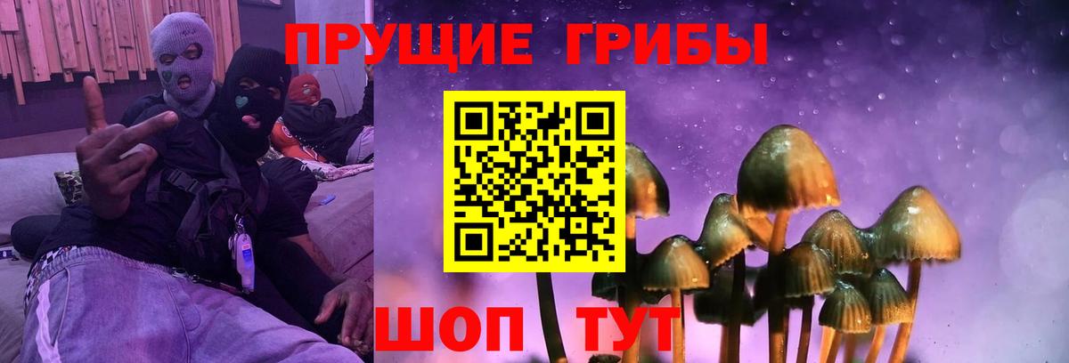 Псилоцибиновые грибы Magic Shrooms Клинцы